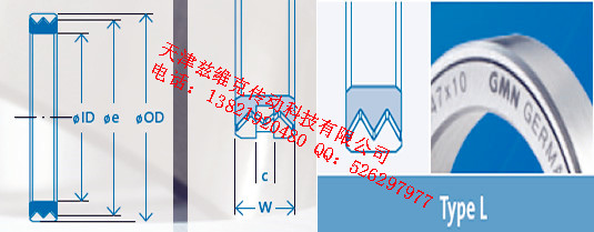 GMNL22X30X10油封圖紙